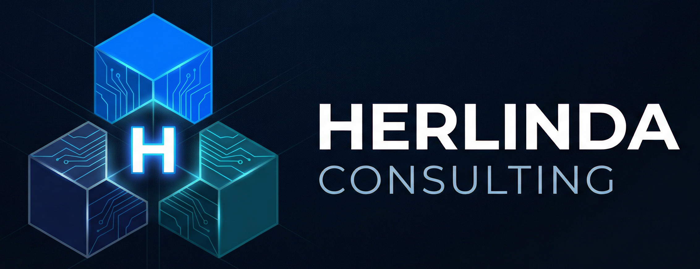 Herlinda Technology Consulting