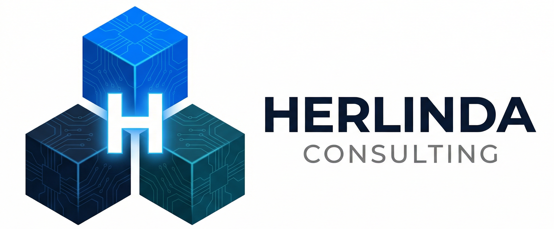 Herlinda Technology Consulting